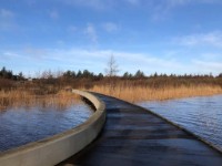 Zicht op water