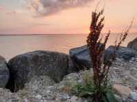 Zicht op water