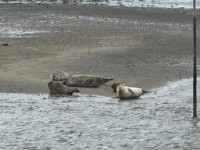 Zicht op water