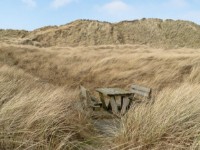 Weergave