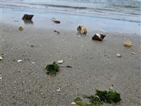 Zicht op water