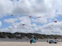 Activiteit