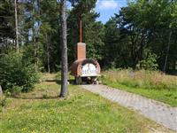 Activiteit