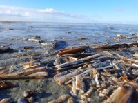 Zicht op water