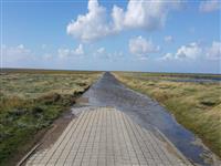 Activiteit