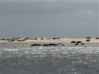 Zicht op water