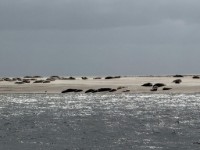 Zicht op water