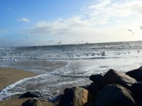 Zicht op water
