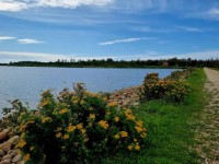 Zicht op water