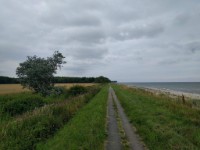 Activiteit