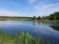 Zicht op water