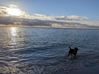 Zicht op water
