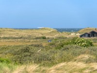 Weergave