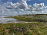 Zicht op water