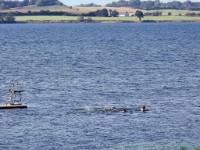 Zicht op water