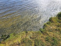Zicht op water