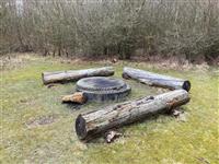 Activiteit