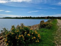 Zicht op water