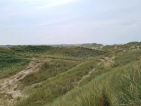 Activiteit