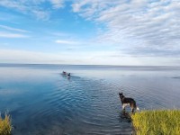 Zicht op water