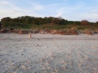 Activiteit