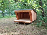 Activiteit