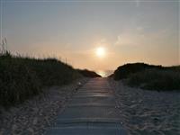 Activiteit