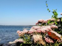 Zicht op water