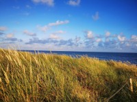 Zicht op water